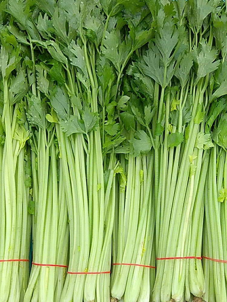 Michelin Fruit Celery