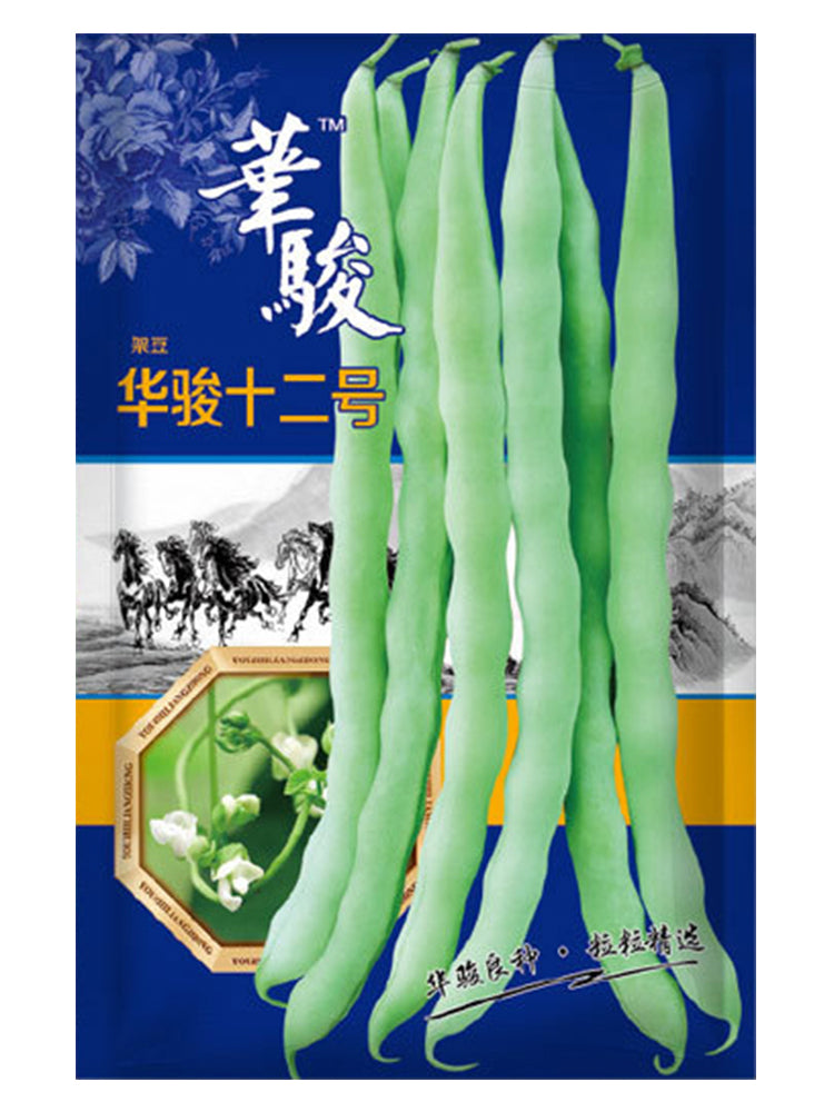 Huajun No.12 Kidney Beans