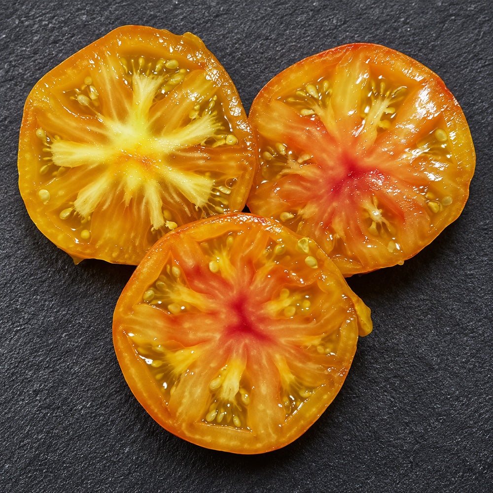 446 Alice's Dream Tomato
