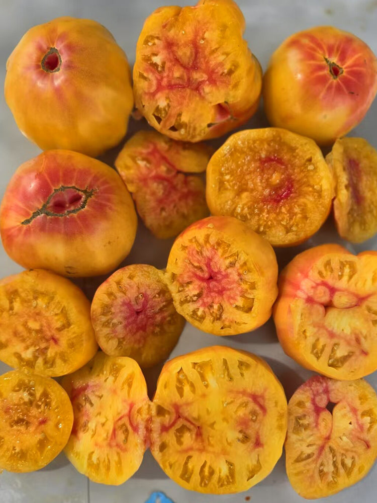 891 Nectar Syrup Tomato