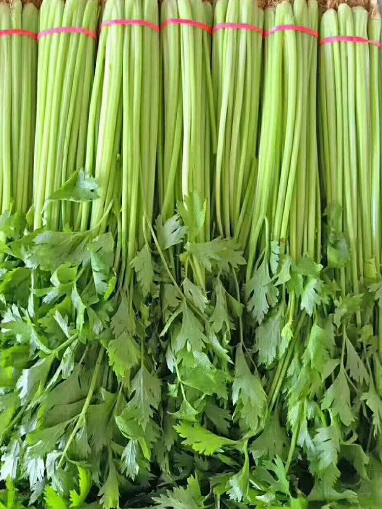 Michelin Fruit Celery
