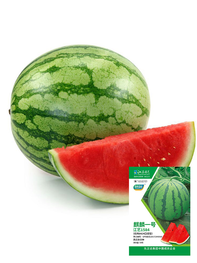 Qilin No.1 Watermelons
