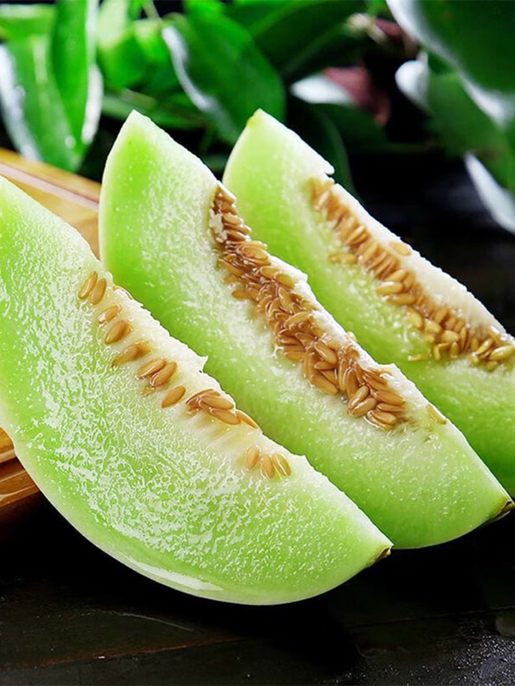 Haoyu Sweet Melons