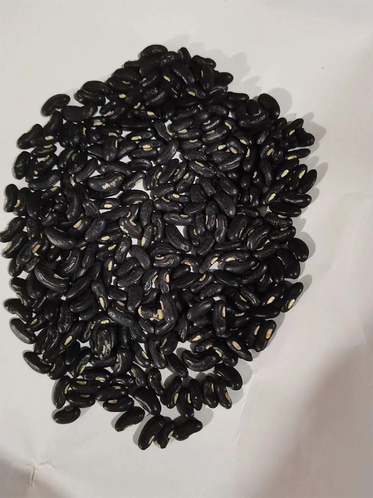 Black Eyebrow No.1 Cowpea