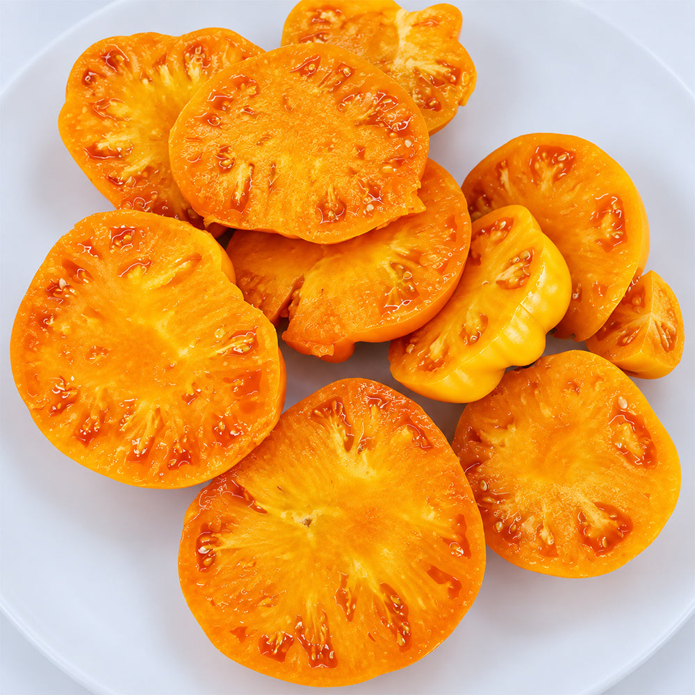 417 Golden Cat Tomato
