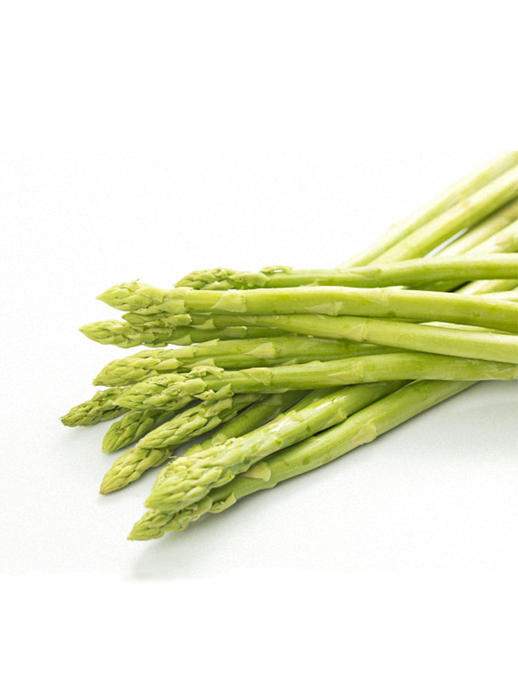 Green Asparagus (Asparagus officinalis L.)
