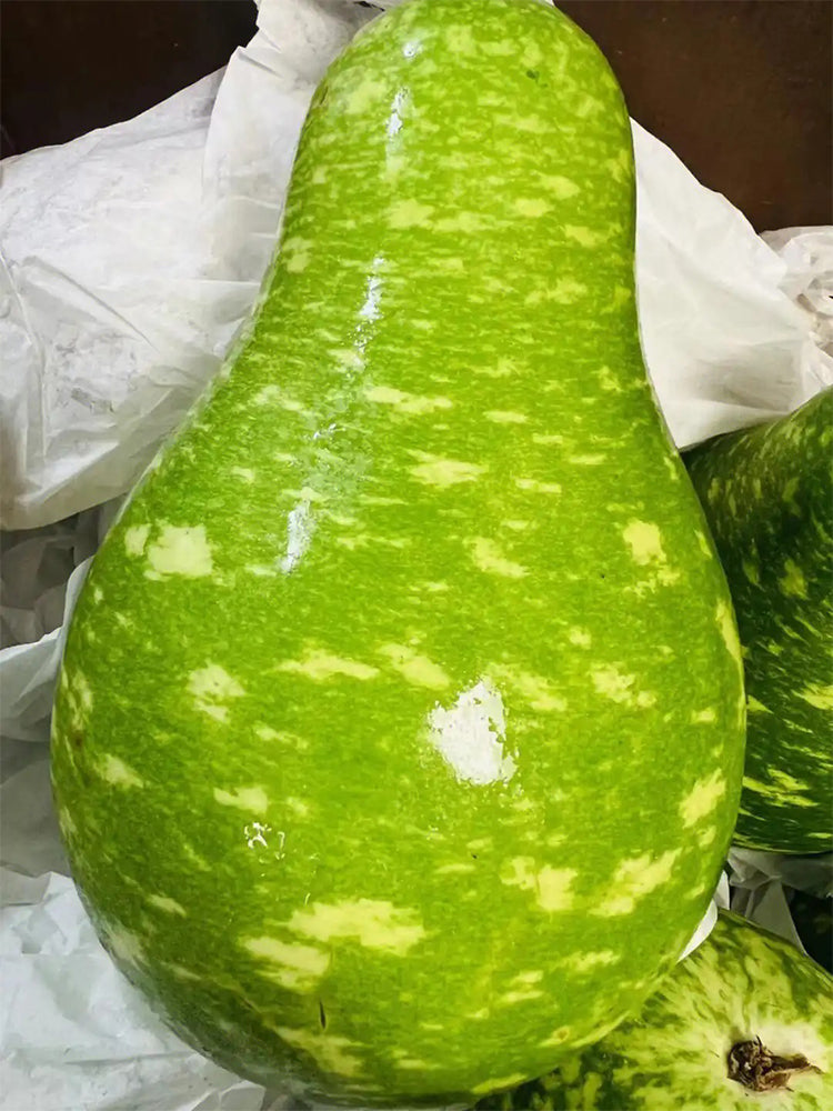 Qiangchun Duosheng Variegated Bottle Gourds