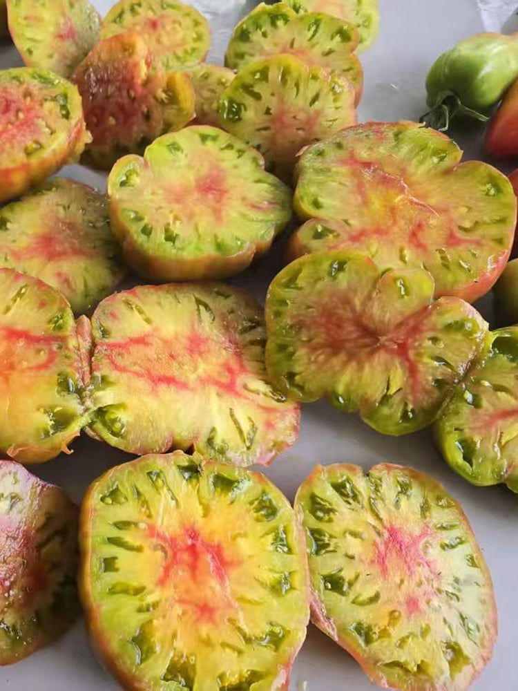 1106 Luxury Piglet Tomato