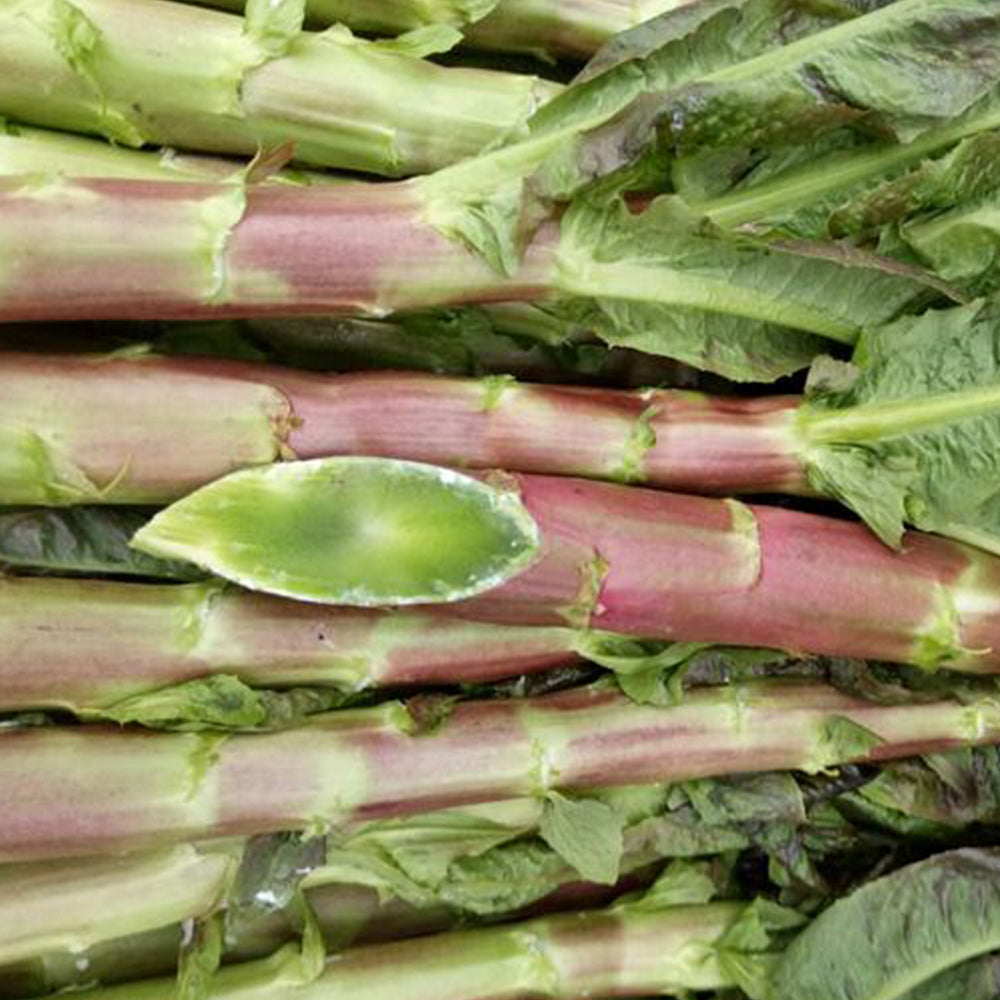 5 Bags (2000 Seeds / Bag) Red Asparagus Lettuce Seeds