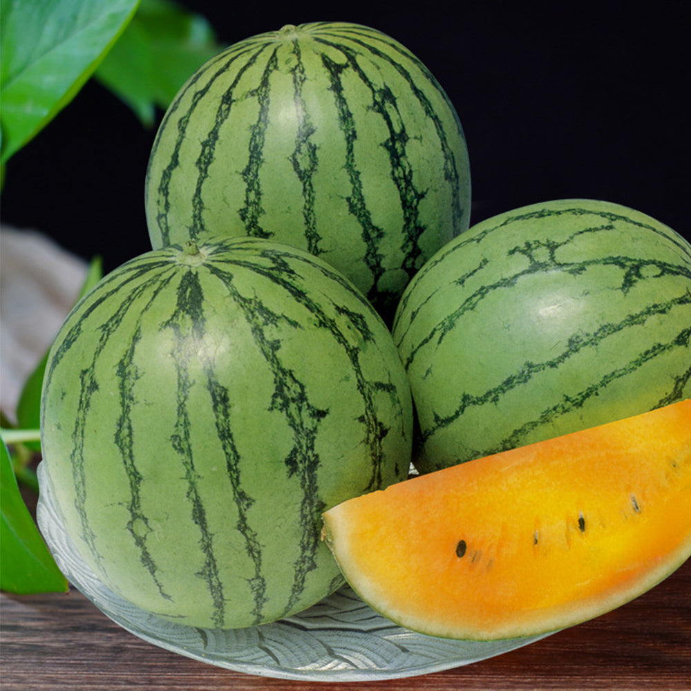 5 Bags (20 Seeds / Bag) 'Rainbow Ice Cream' Series Watermelon Seeds