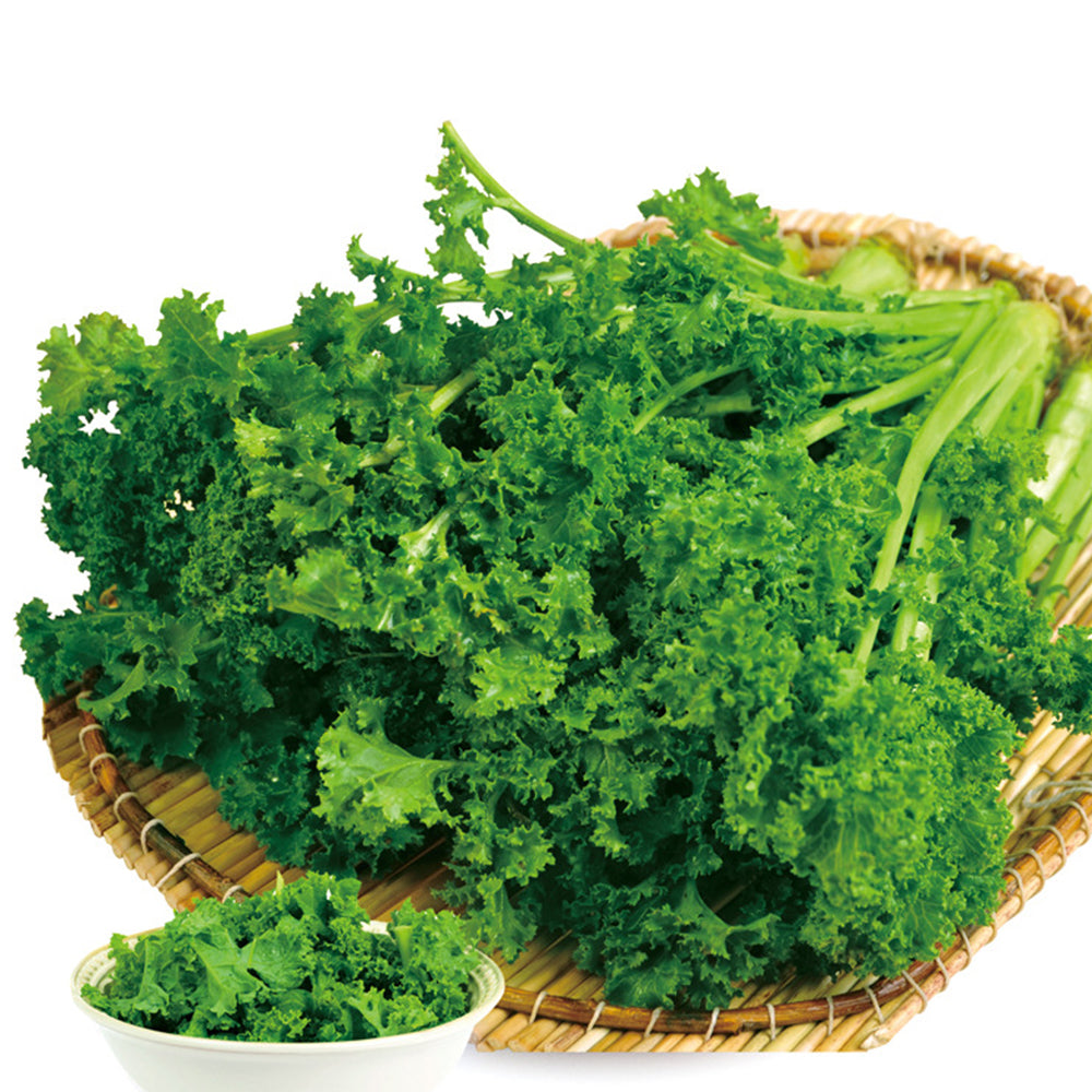 5 Bags (100 Seeds / Bag) of 'Blue Ridge' Kale