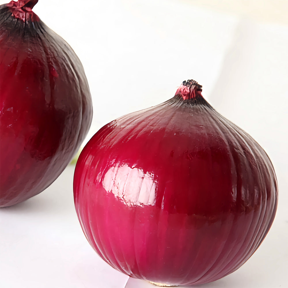 5 Bags (500 Seeds/Bag) of Exquisite Red Onion Seeds