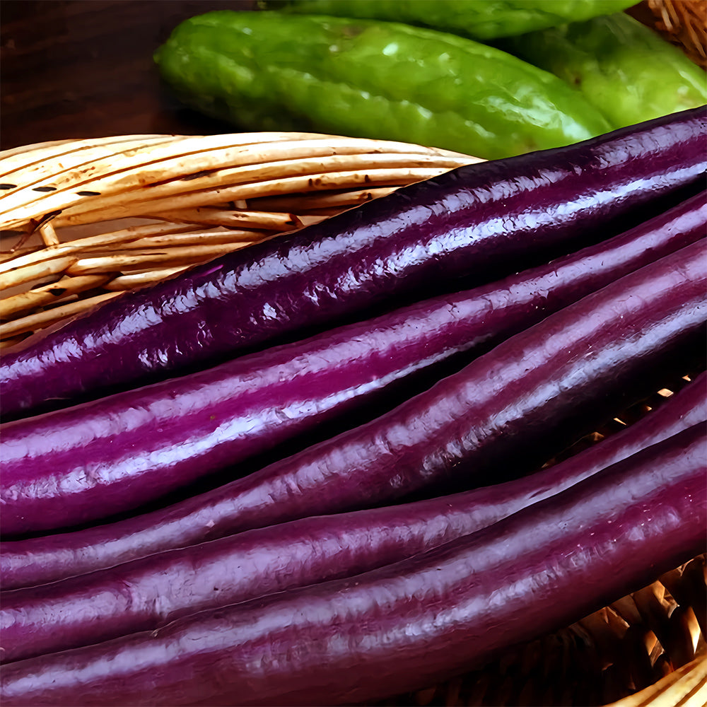 5 Bags (100 Seeds/Bag) of 'Purple Dragon' Hangzhou Eggplant Seeds