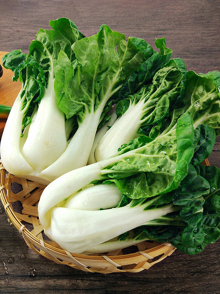 Dark-green-leafed Baby Bok Choy