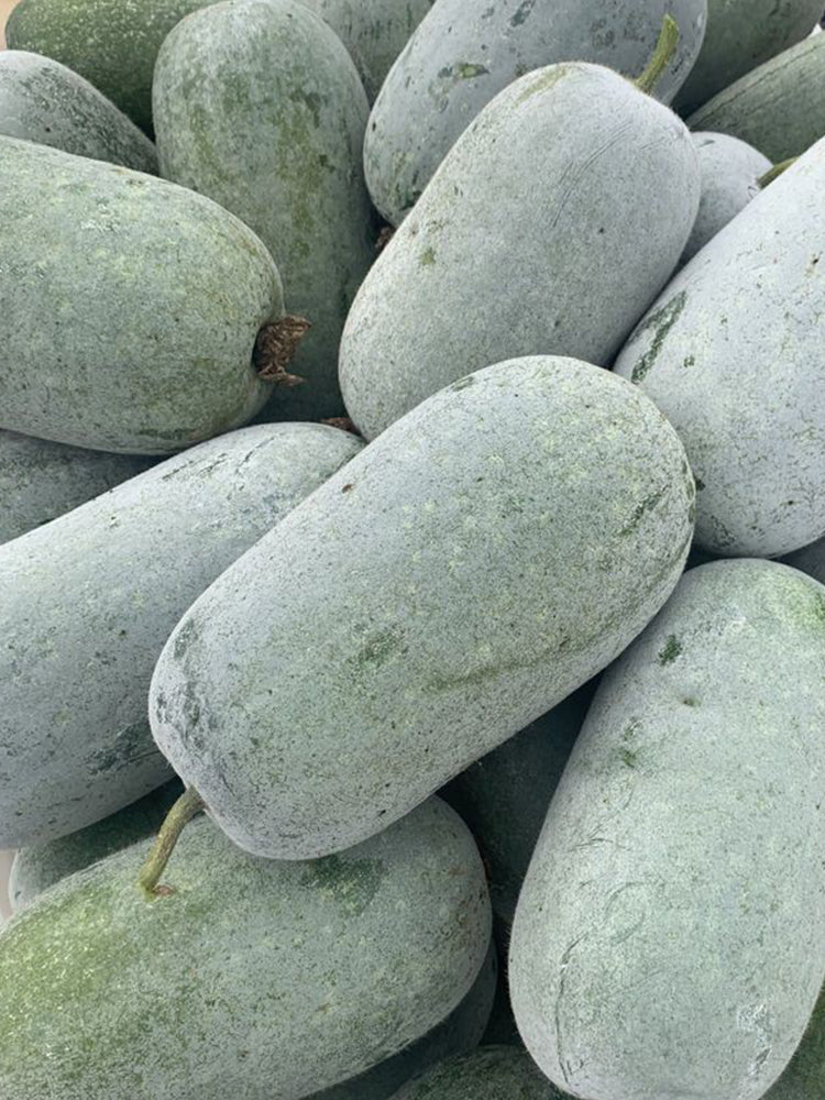 Mini Small Winter Melon No.1