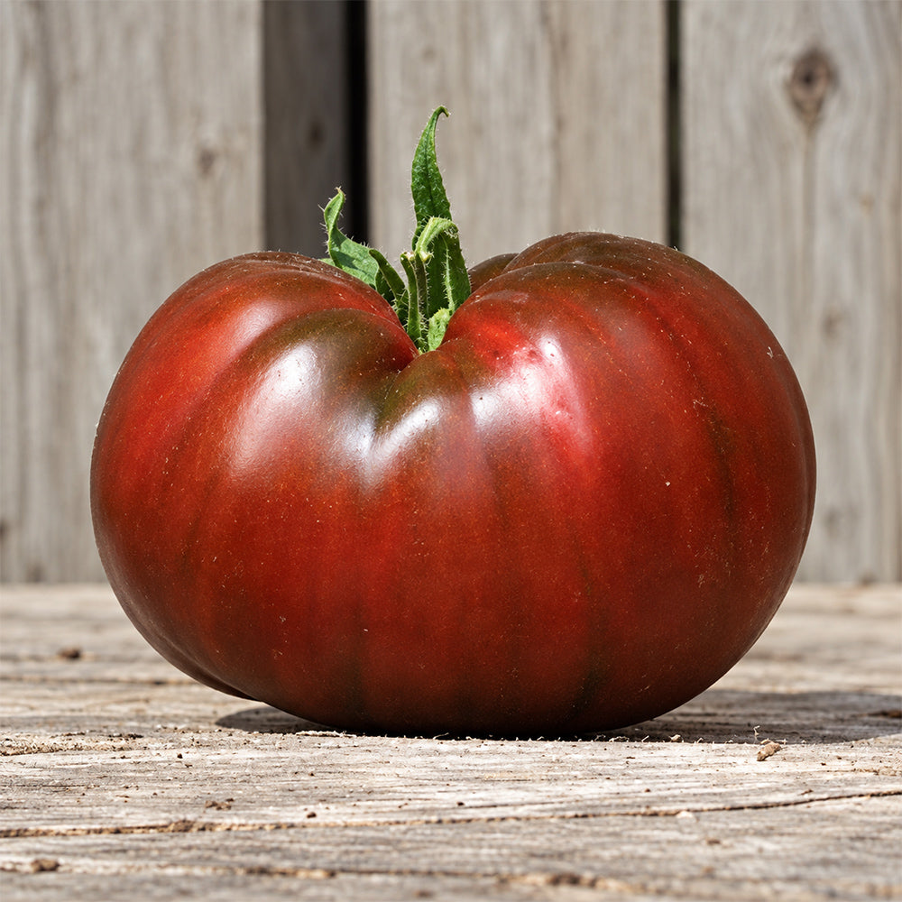 297 Perth Pride Dwarf Tomato