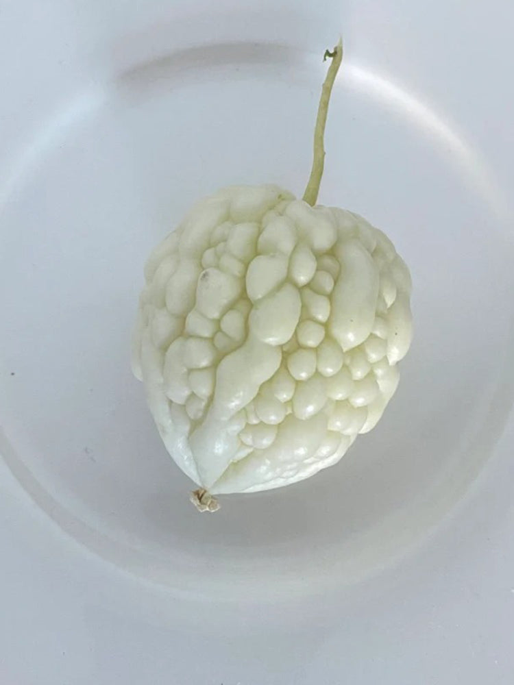 Apple Bitter Gourd