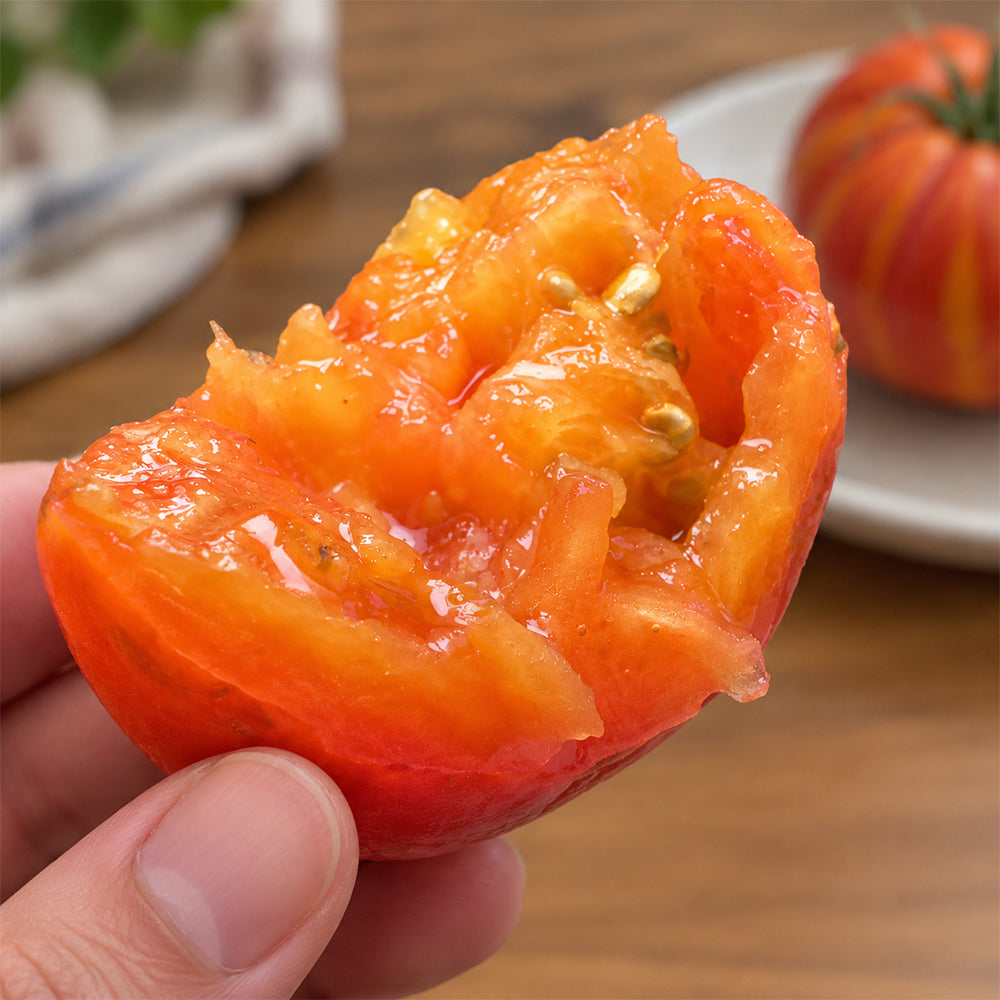 128 Lightning Giant Tomato