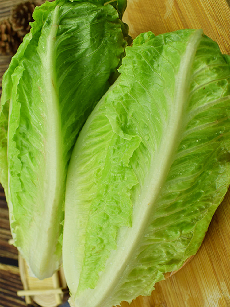 Little Gem Lettuce