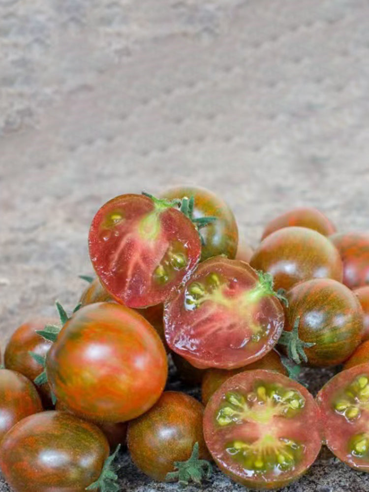 'Mini Shadow Stripe' Tomato