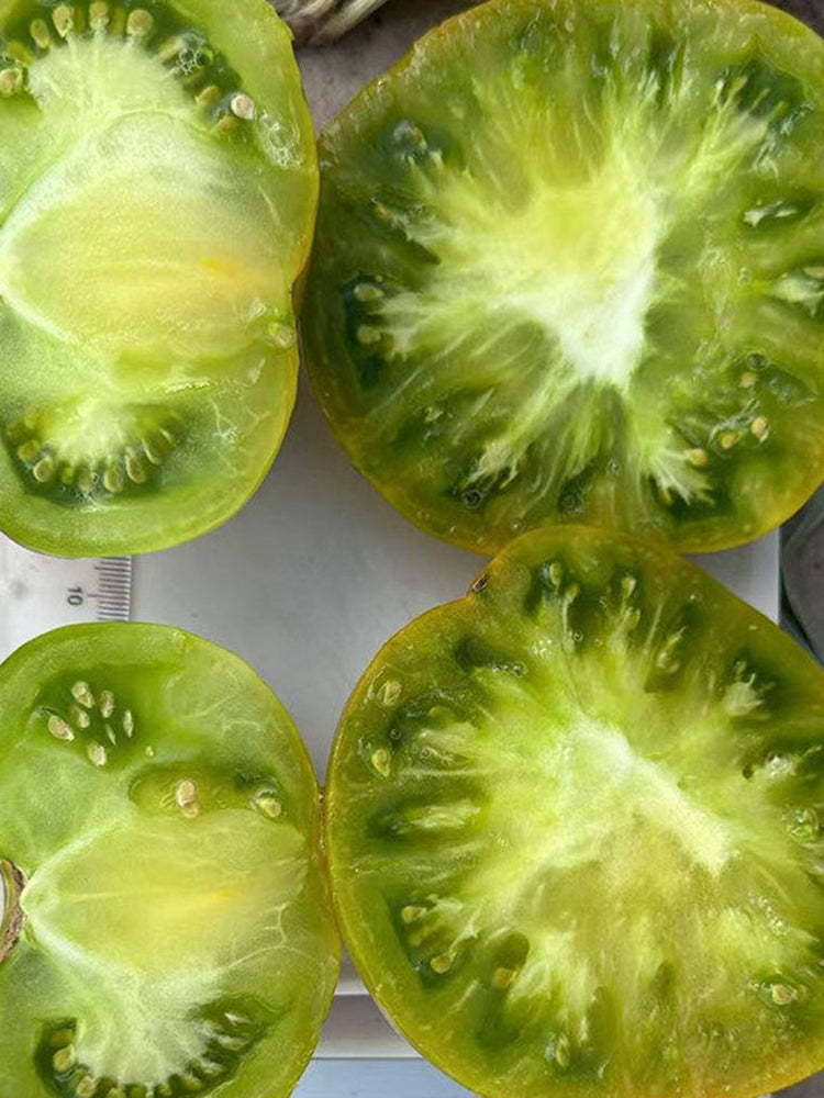 Cherokee Green Tomato