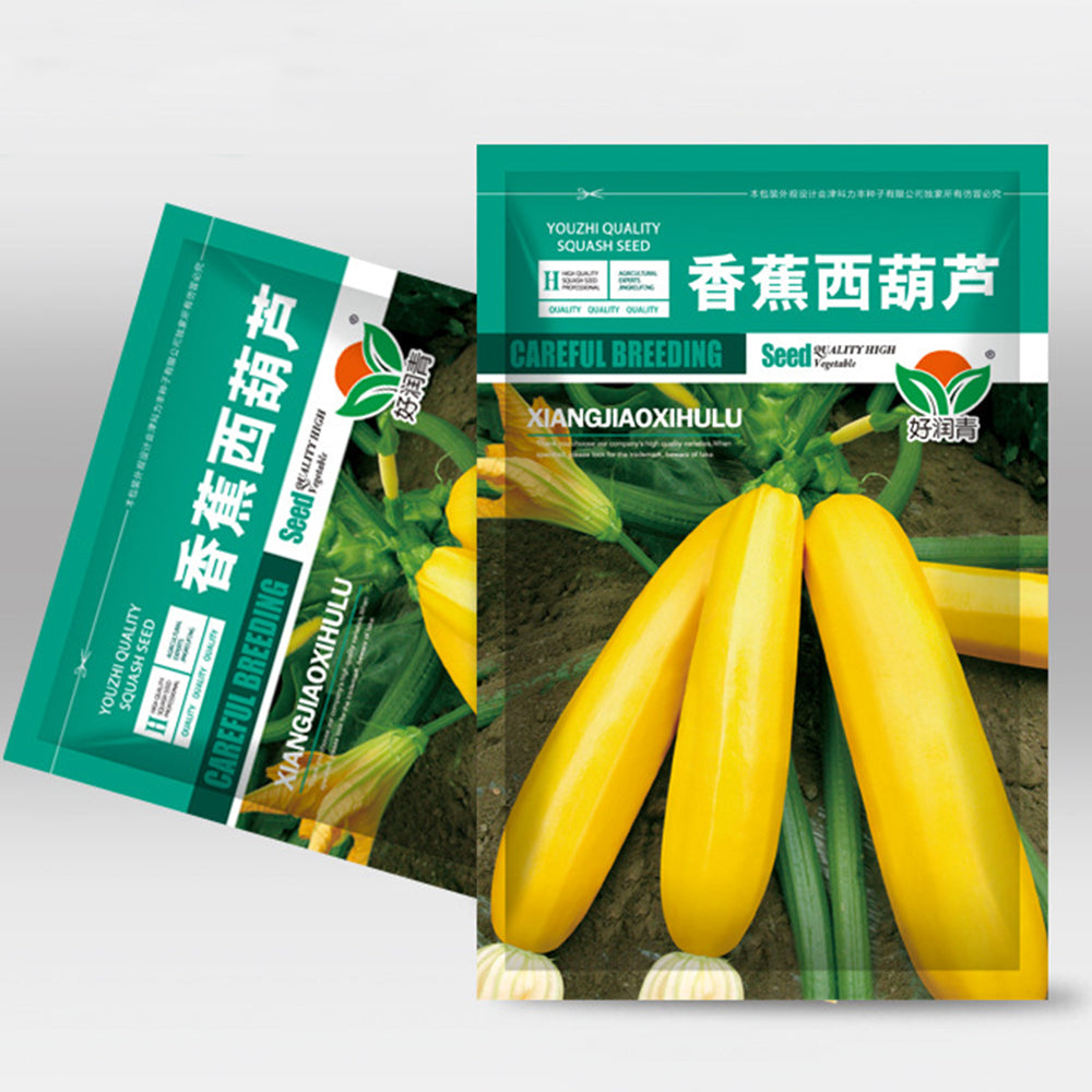 5 Bags (10 Seeds / Bag) of Yellow Zucchini Seeds, 'Yellow Banana' series