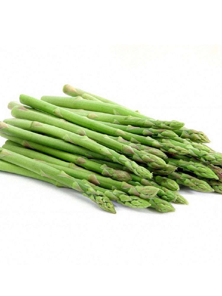 Green Asparagus (Asparagus officinalis L.)