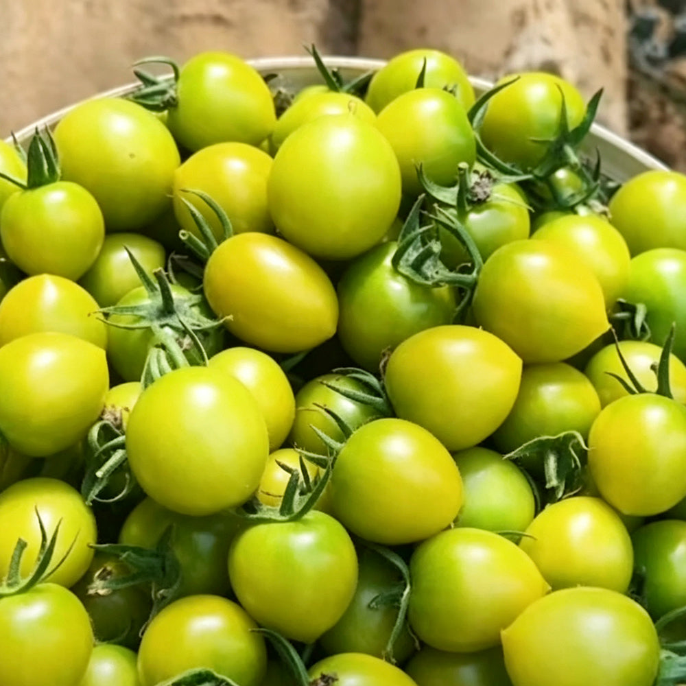 Dream Green Sweet 2 F1 Tomato