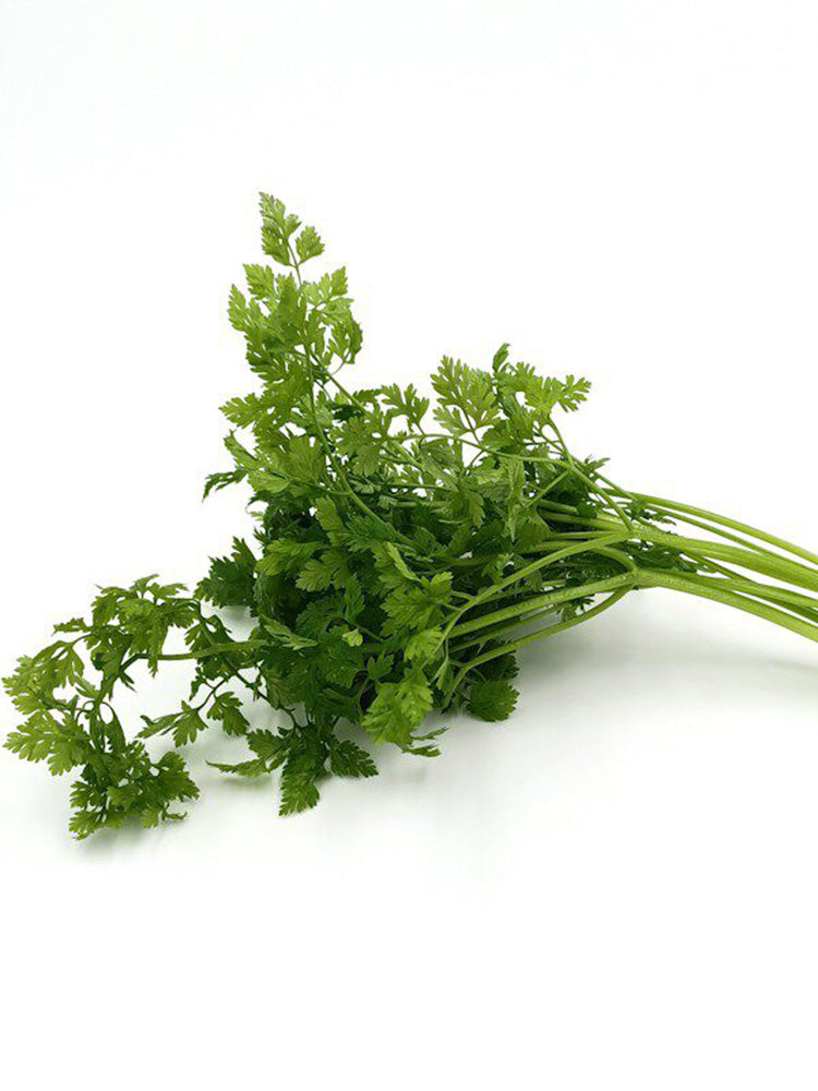 Italian Chervil