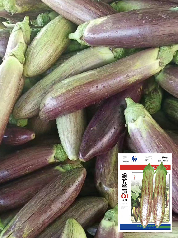Yu Bamboo-Silk Eggplant No.881