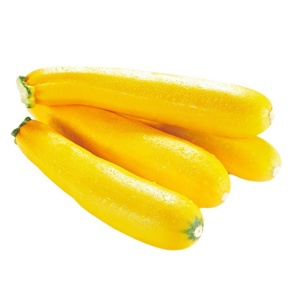 5 Bags (10 Seeds / Bag) of Yellow Zucchini Seeds, 'Yellow Banana' series