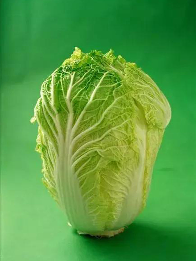 Gaokang 78 Chinese Cabbage