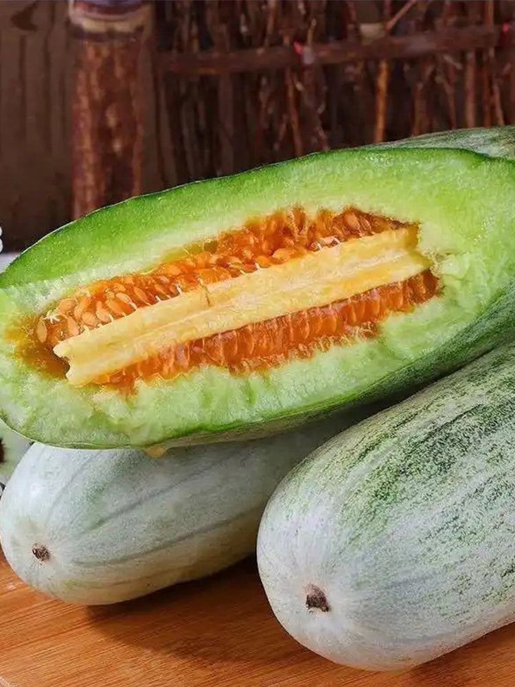 Horn Honey Melon