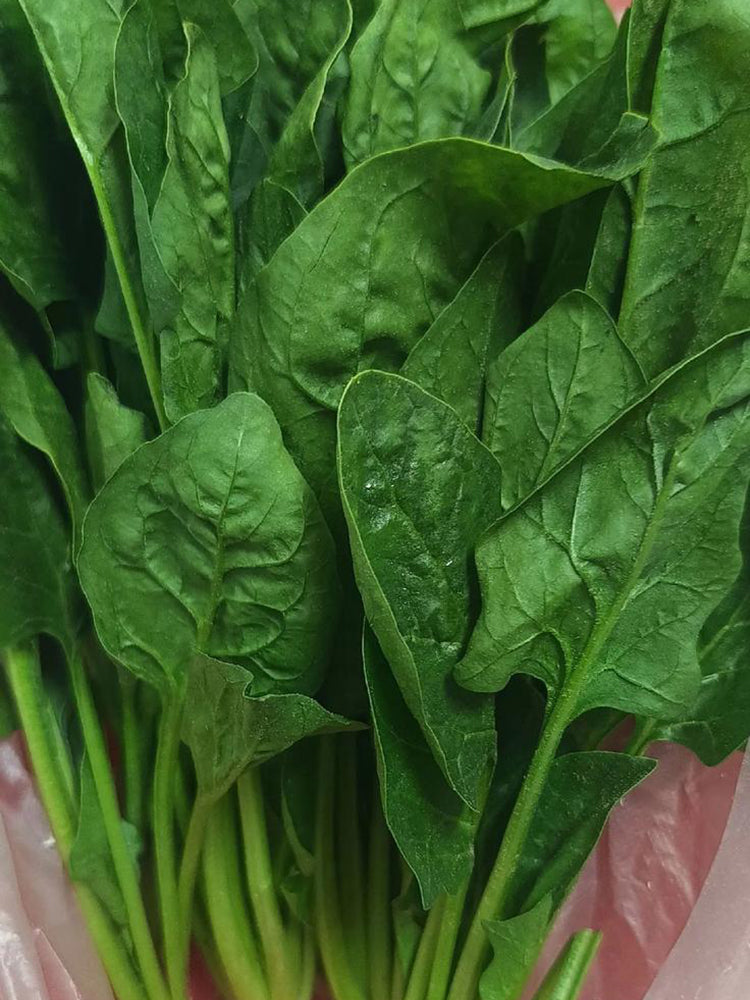 'Heat-Tolerant King' Spinach