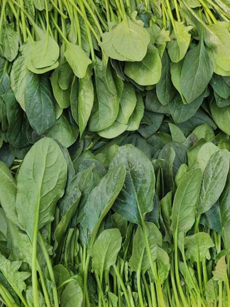 Four Seasons Spinach
