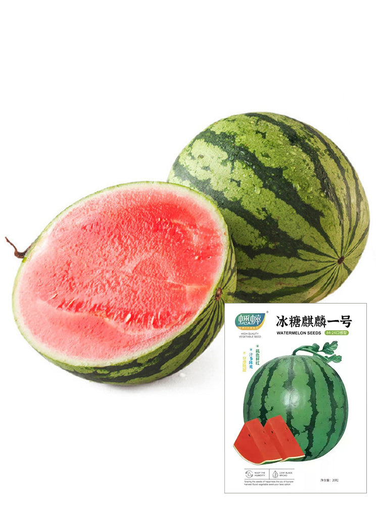 Rock Sugar Kirin No.1 Watermelon