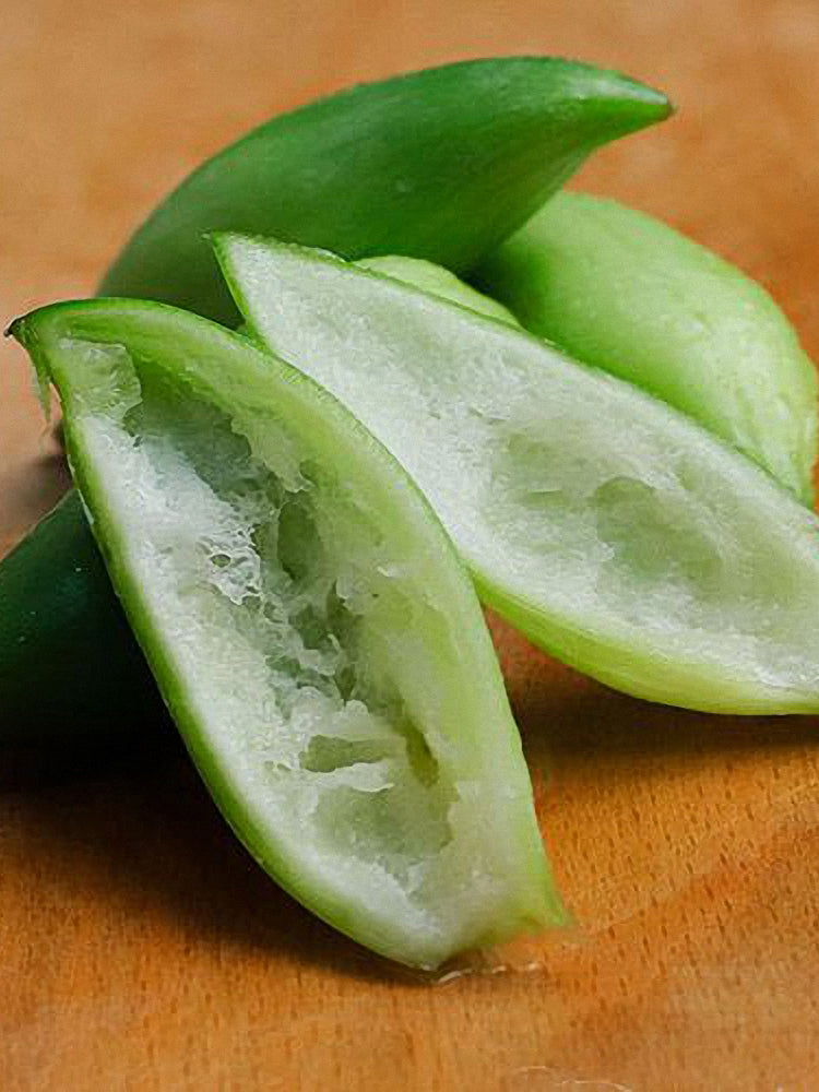 Slipper Gourd (Cyclanthera pedata)