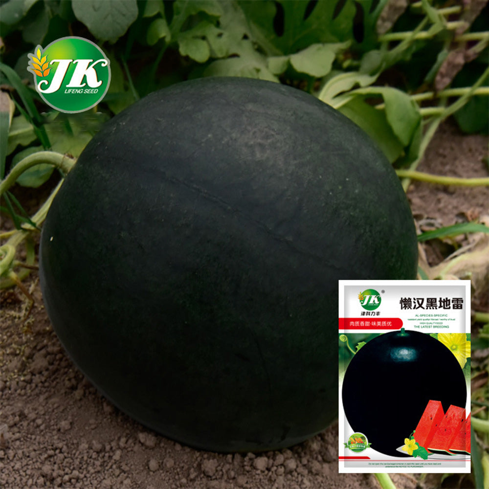 5 Bags (25 Seeds / Bag) of Black Landmine' Series Watermelon Seeds