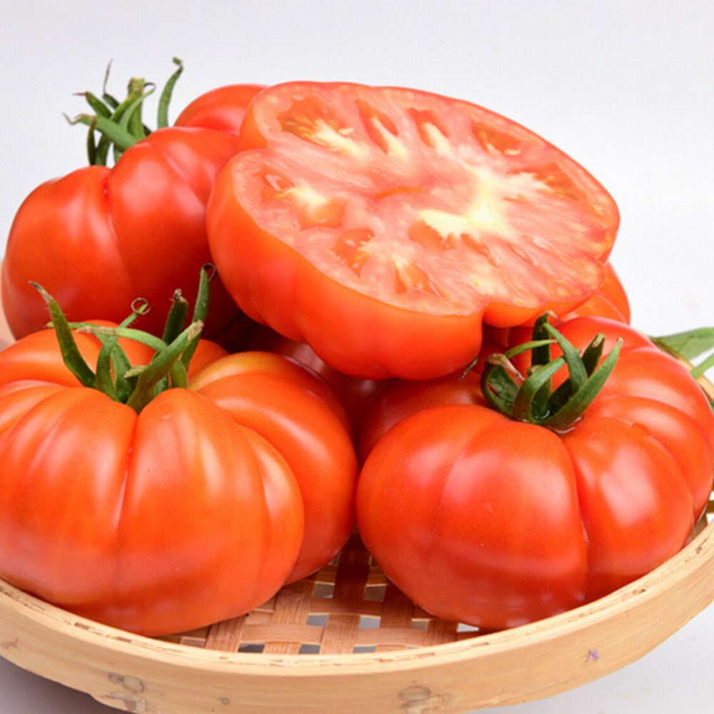 Homegrown Delights: 5 Bags of 'Beefsteak' Series Beefmaster Tomato Seeds