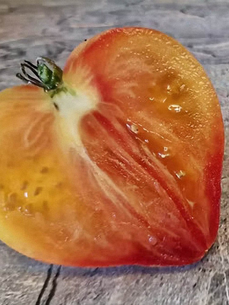 VT-16 Yellow Heart with Nose F2 Tomatoes