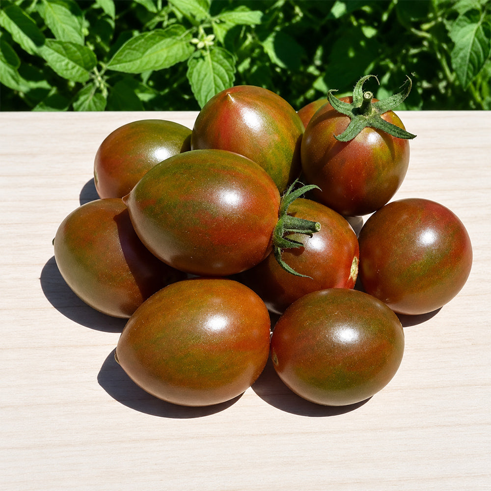 143 Purple Fairy Dwarf Tomato