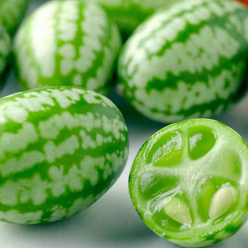 5 Bags (50 Seeds / Bag) of Cucamelons Seeds, Mexican Sour Gherkins