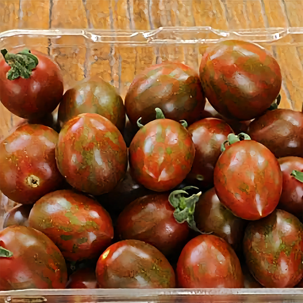 Peachy Perfection: 5 Bags (100 Seeds / Bag) of 'Strawberry' Tomatoes