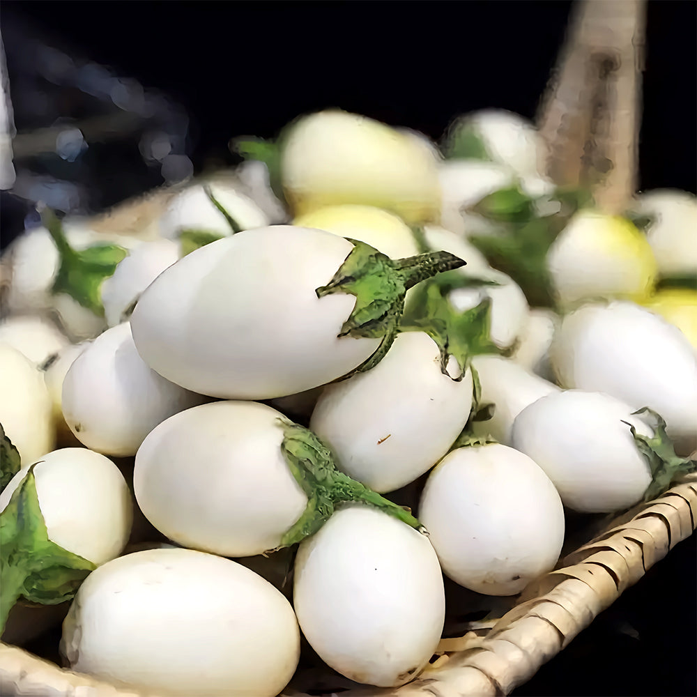 5 Bags (100 Seeds/Bag) of 'White Baby' Round Eggplant Seeds