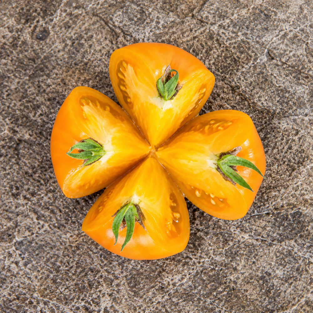 96 Cherokee Tiger Orange Dwarf Tomato