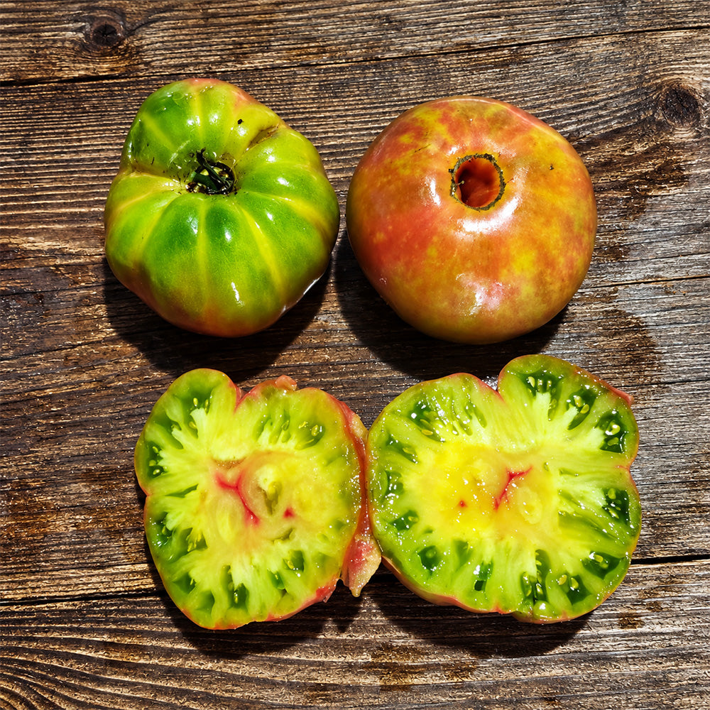 522 Kozula 203/1 Tomato