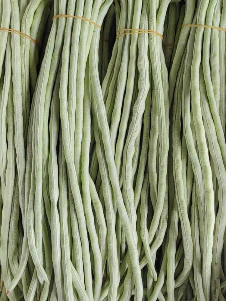Baixue Lihong Yardlong Bean