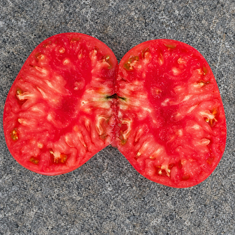 250 Jackass Red Dwarf Tomato