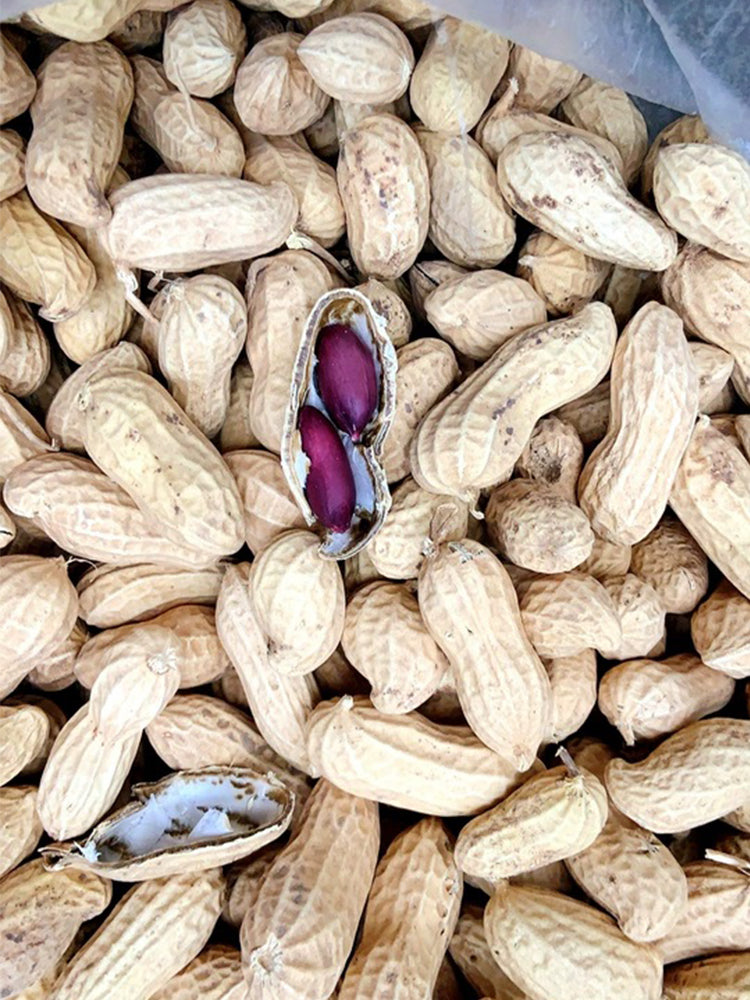 Black Peanut