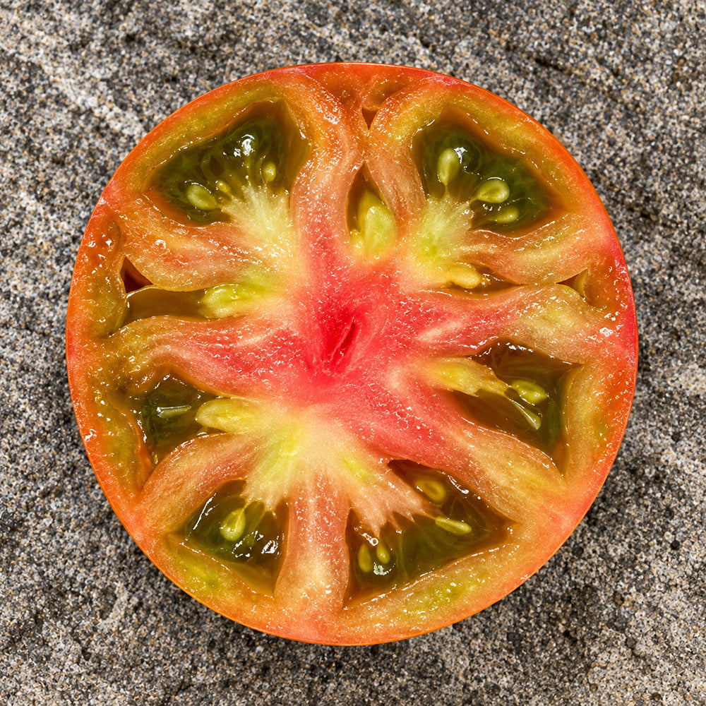 459 Maf's Brown #9 Tomato